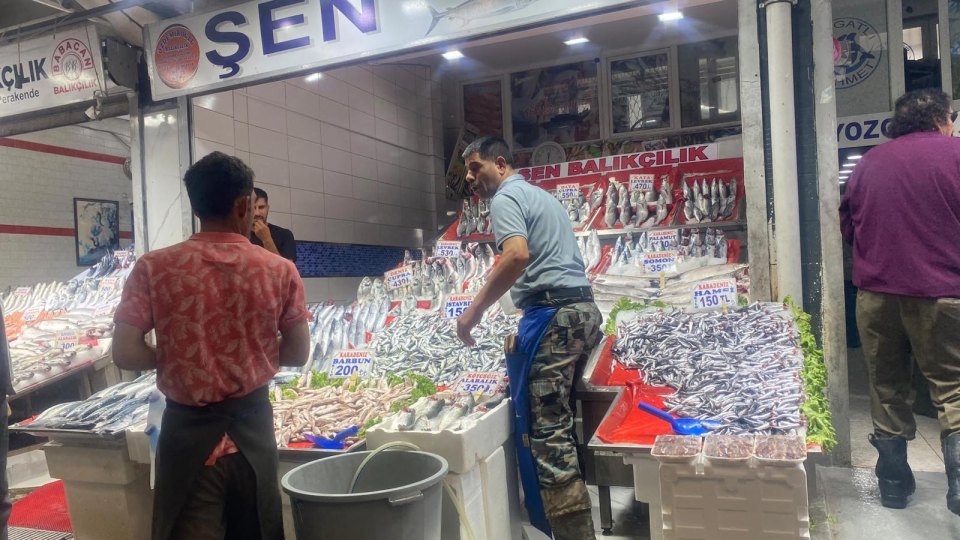 balık sezonu hareketli - Balık sezonu hareketli başladı, Ankara esnafı iddialı: “En taze balık Ankara’da yenir”