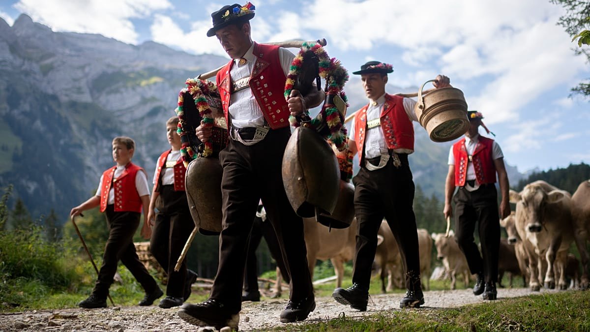 Züglete festivali: Süslenen inekler Gstaad sokaklarında